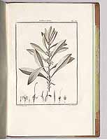  no thumbnail available