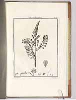  no thumbnail available