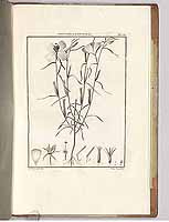  no thumbnail available