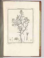  no thumbnail available