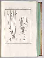  no thumbnail available