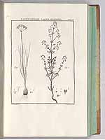  no thumbnail available