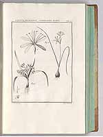  no thumbnail available