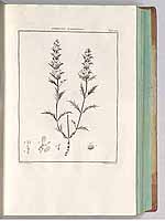  no thumbnail available