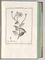  no thumbnail available