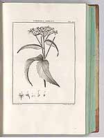  no thumbnail available