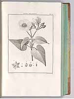  no thumbnail available