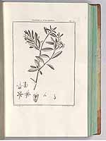  no thumbnail available