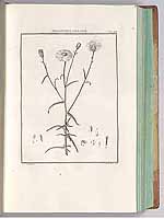  no thumbnail available