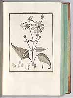  no thumbnail available