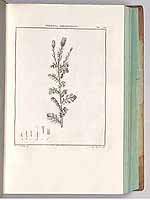  no thumbnail available