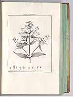  no thumbnail available