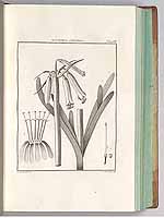  no thumbnail available