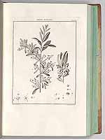  no thumbnail available