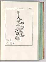  no thumbnail available