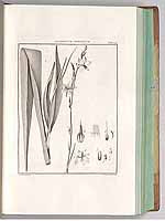  no thumbnail available