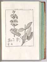  no thumbnail available