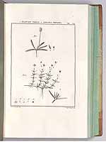  no thumbnail available