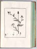  no thumbnail available