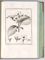  no thumbnail available