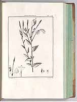  no thumbnail available