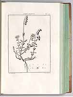  no thumbnail available