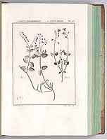  no thumbnail available