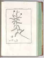  no thumbnail available