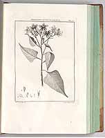  no thumbnail available