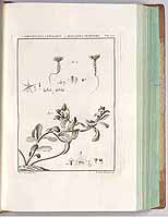  no thumbnail available