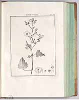  no thumbnail available