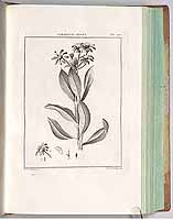  no thumbnail available