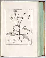  no thumbnail available