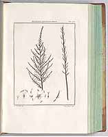  no thumbnail available