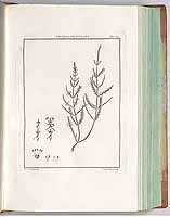  no thumbnail available