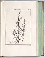  no thumbnail available