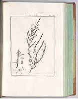  no thumbnail available