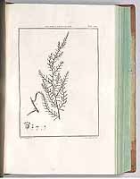  no thumbnail available