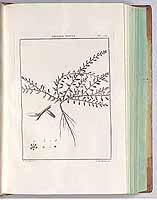  no thumbnail available