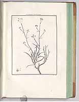  no thumbnail available