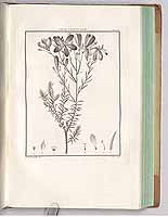  no thumbnail available