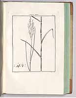  no thumbnail available