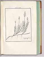  no thumbnail available