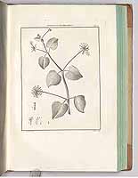  no thumbnail available