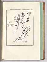  no thumbnail available