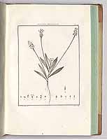  no thumbnail available