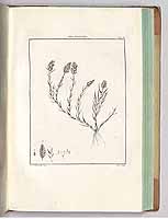  no thumbnail available