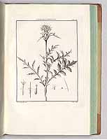  no thumbnail available