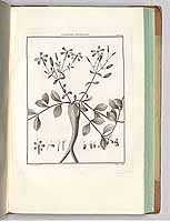  no thumbnail available