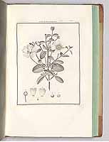  no thumbnail available